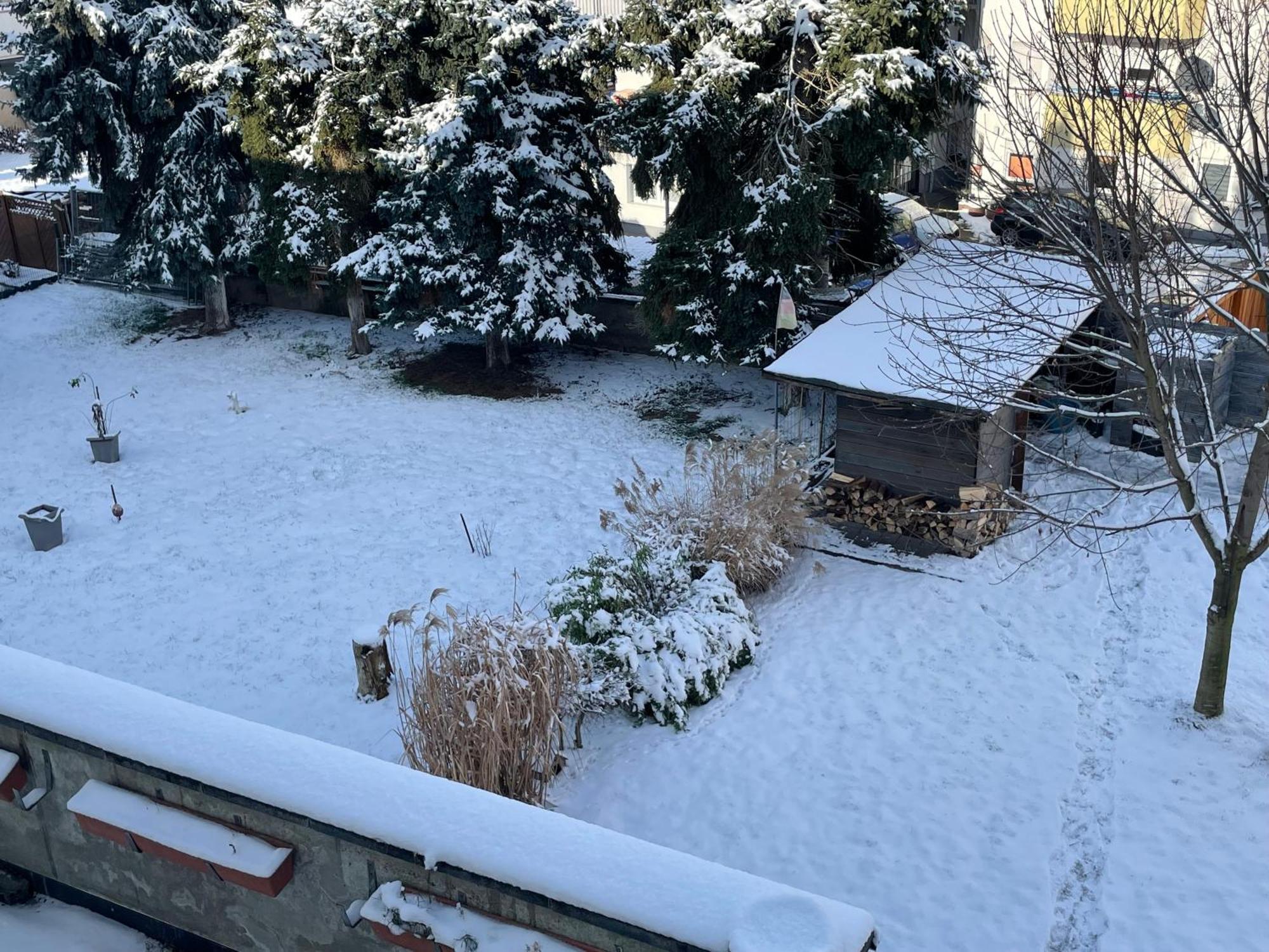 Ferienwohnung Dieblich An Der Mosel 외부 사진